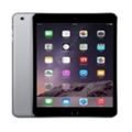 128 GB Apple iPad Mini 4 w/ Wi-Fi (Space Gray)